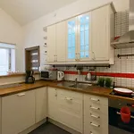 Spacious Near Wenceslas Square Daire